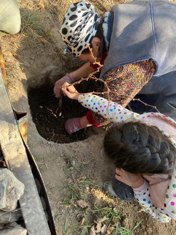 Челлендж "Асар"