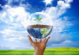 Неделя экологического образования